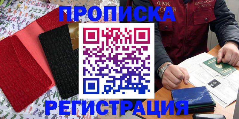 прописка штамп в Вельске